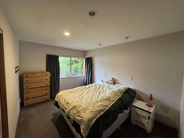 145 Maidstone Road Ilam_4