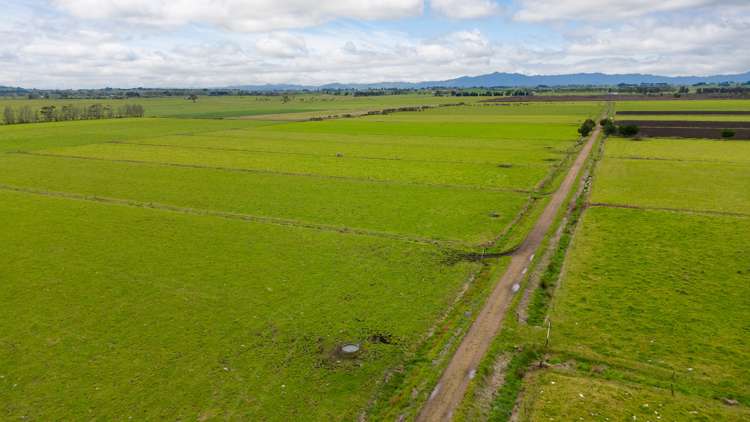 220 Valintine Road Gordonton_18