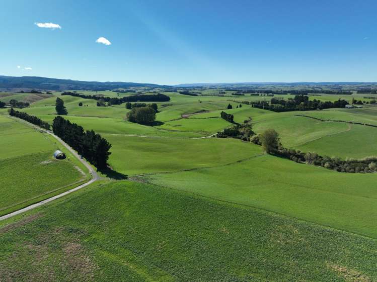 191 Chapman Road Wharetoa_22