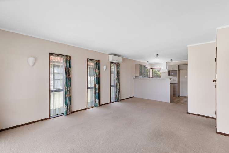 26a David Street Morrinsville_2