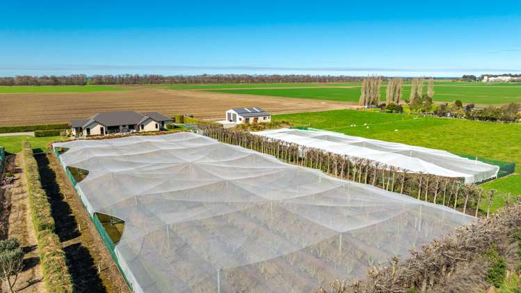 16 Arowhenua Station Road Kerrytown_90