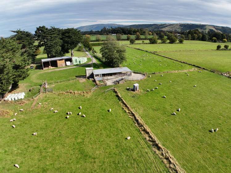 108 Hazlett Road North Taieri_5