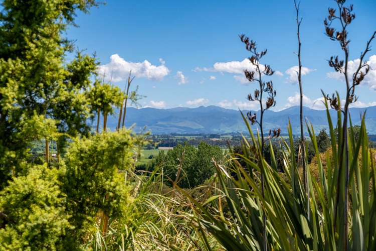 110 Te Wharau Road Gladstone_16