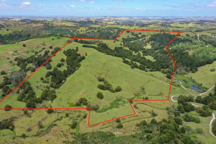 Lot 2/347 Porter Road Paparoa_19