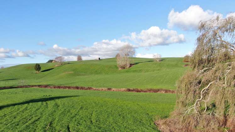 Waitomo Caves Road Waitomo_6