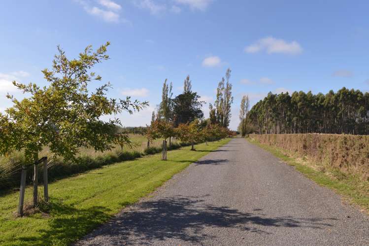 182 Jacksons Road Ohoka_7