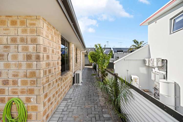 31e Willoughby Street Whitiora_10