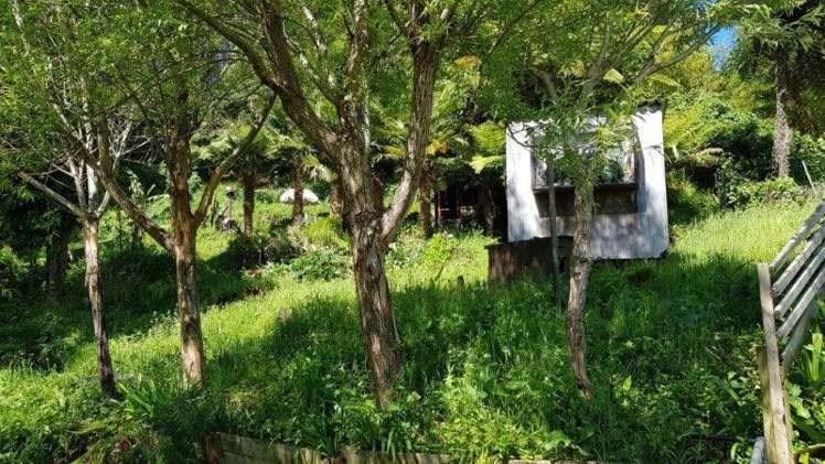 6 Banks Lane Waikino_5