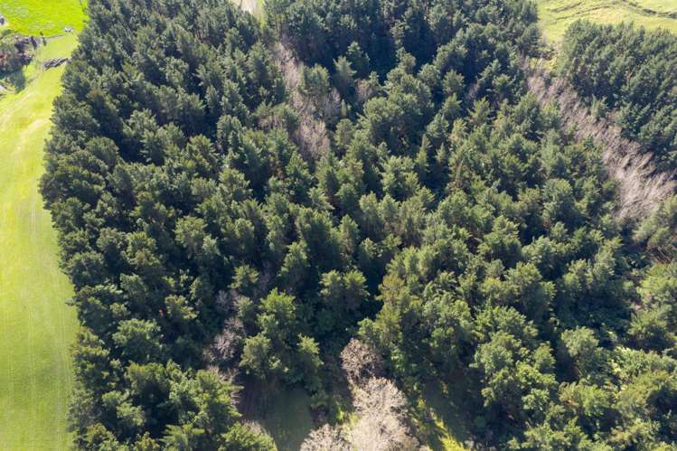 No 1 Line Pohangina_10