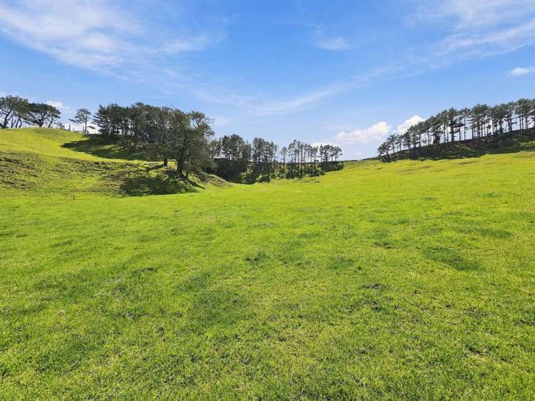 Mount Wesley Coast Road Dargaville_7