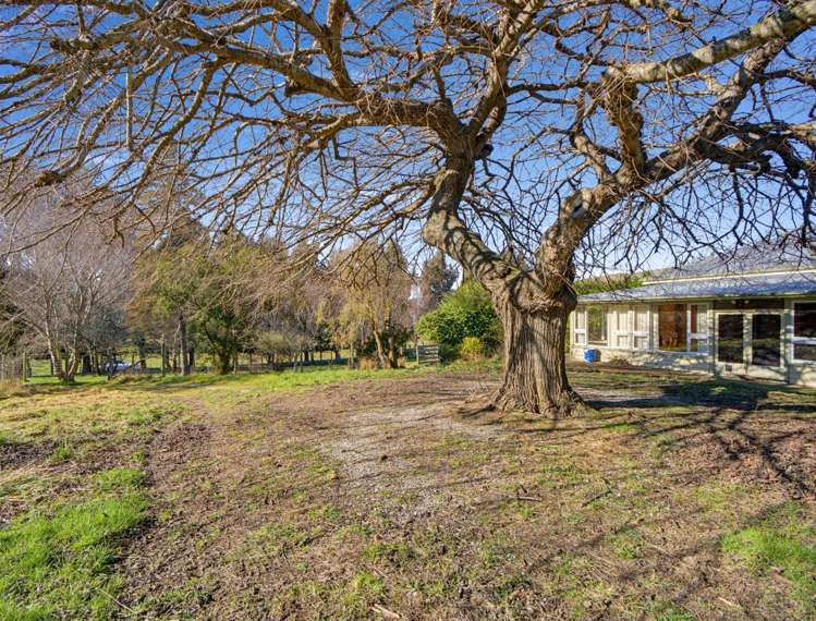 31 District Road Palmerston_29