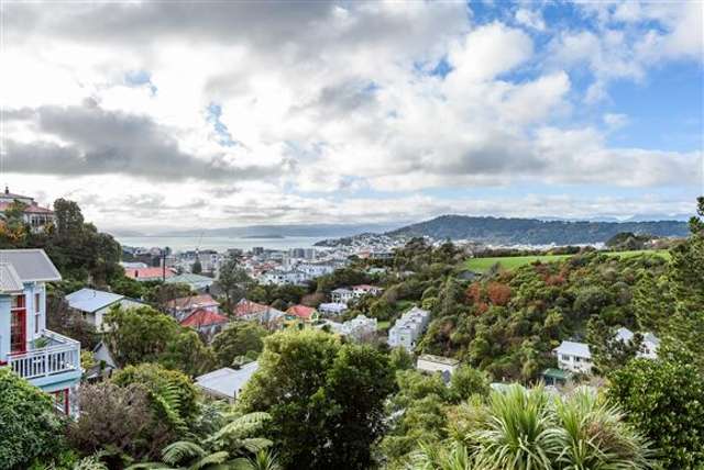 33 Mortimer Terrace Aro Valley_1