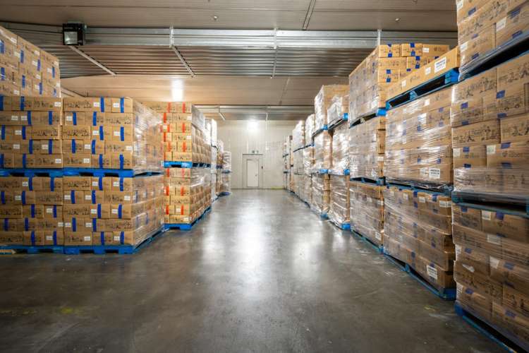 10b Maleme Street Greerton_6