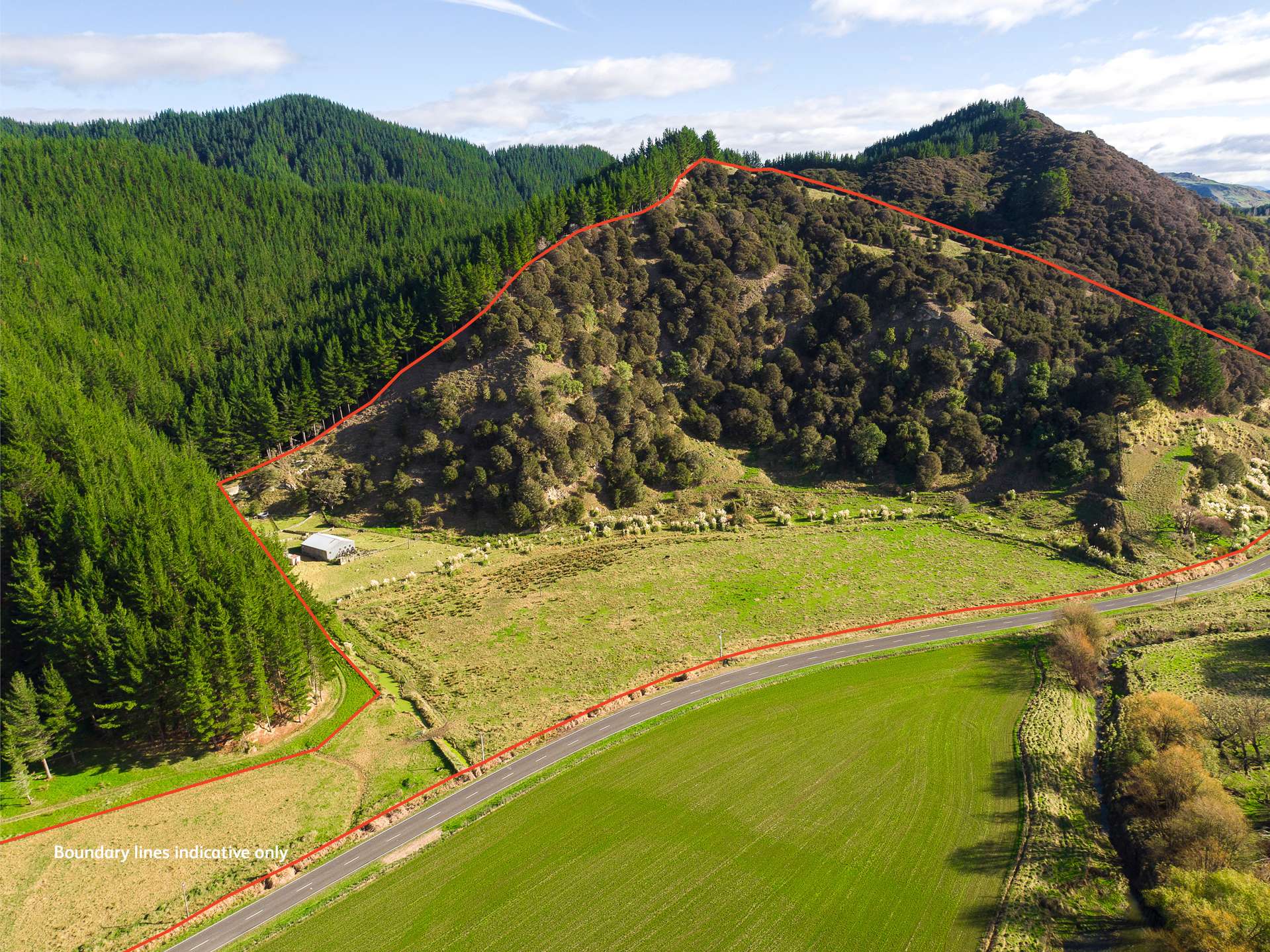 1247 Wharekopae Road Ngatapa_0