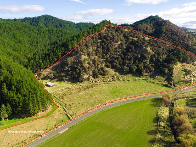 1247 Wharekopae Road Ngatapa_0