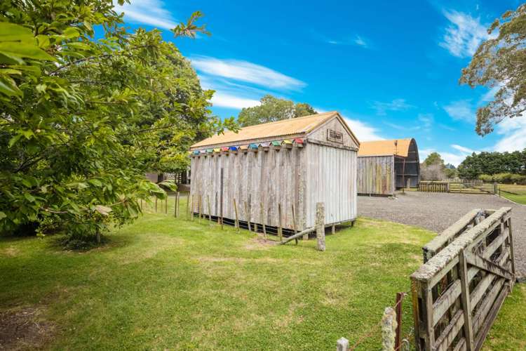 1559 Kahikatea Flat Road Kaukapakapa_21