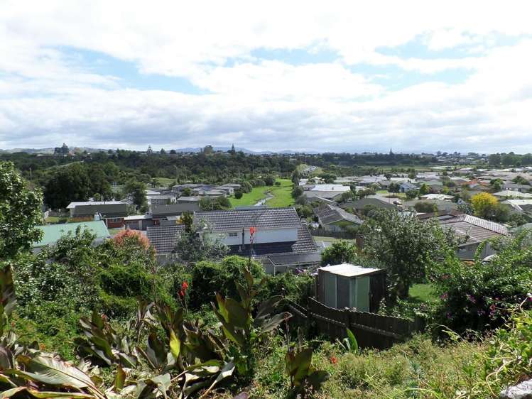 337b Waihi Road Judea_17