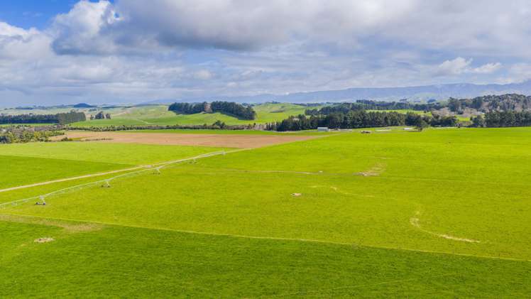 236 Tower Street Ormondville_12