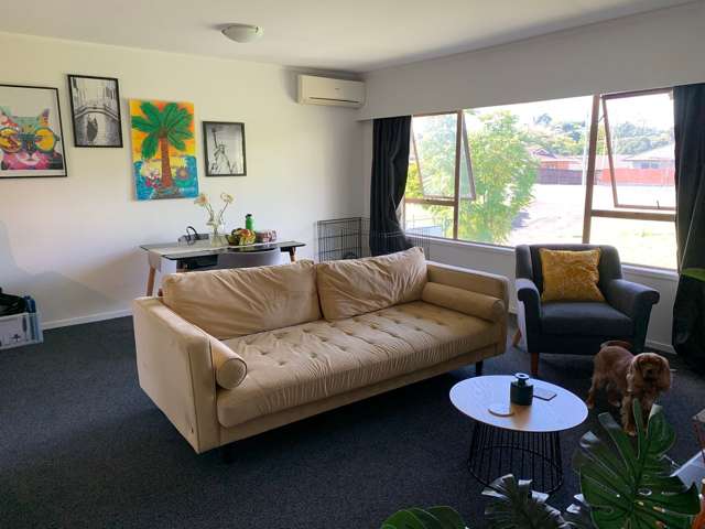 144C Edinburgh Street Pukekohe_1