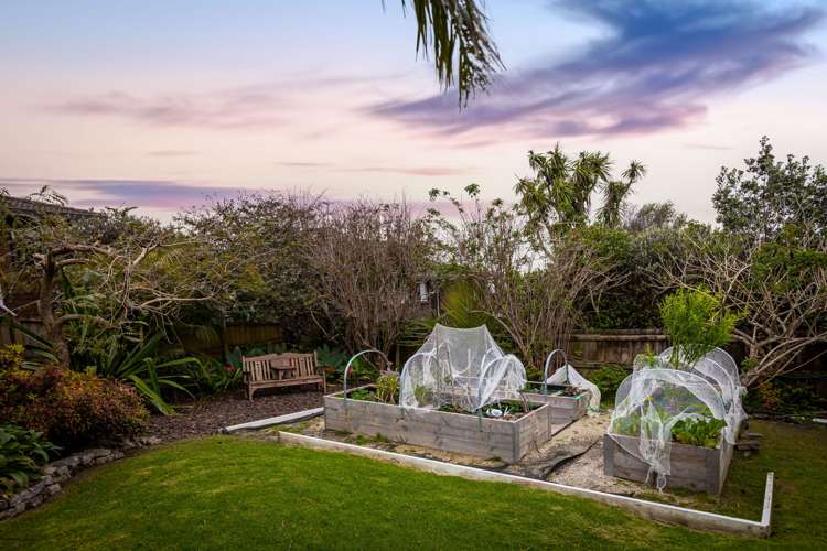 166 Royal Road Massey_21