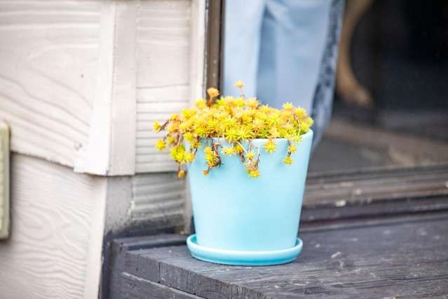 7d Havelock Road Ngaruawahia_3