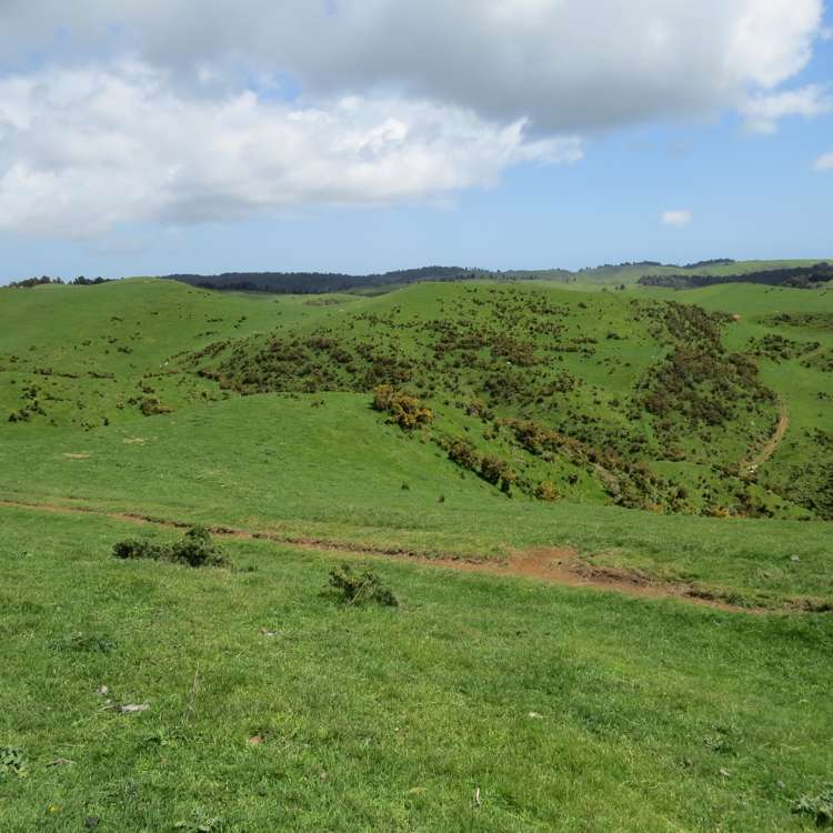 613 Pirongia West Road Oparau_8