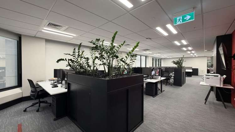 55 Shortland Street City Centre_10