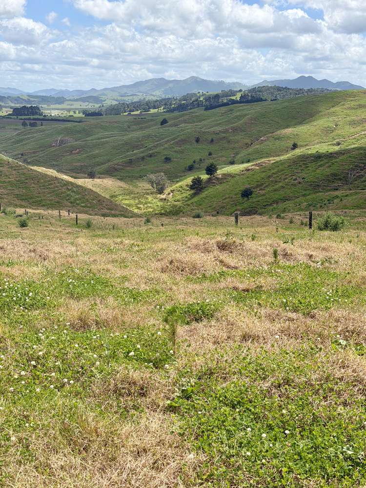 Pukehuia Road Arapohue_23