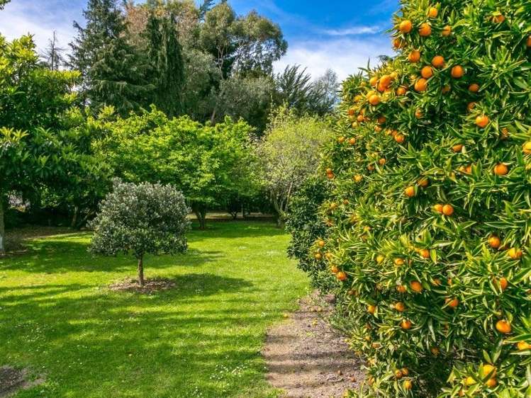 70 Ferry Road Spring Creek_13