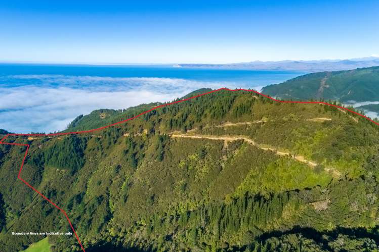 2464 Port Underwood Road Port Underwood_3