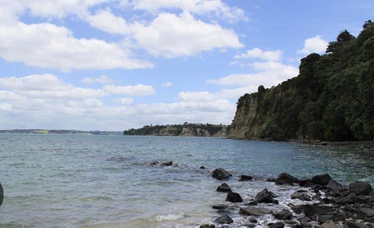 229 Alec Craig Way Gulf Harbour_28