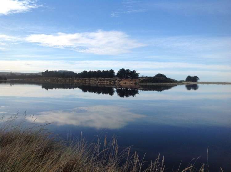 1342 Coast Road Toko Mouth_22