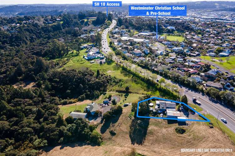 40 Albany Highway Greenhithe_2