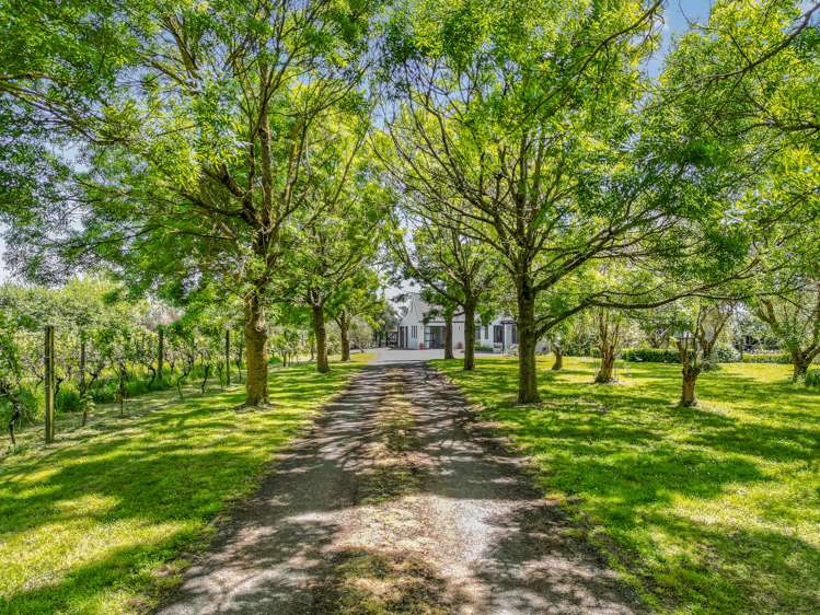 9/239 Lake Ferry Road Martinborough_31