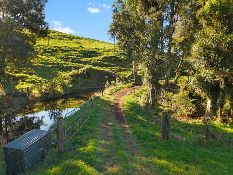 194D Pekanui Road Pirongia_23