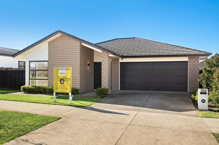 202 Ahutoetoe Road_0