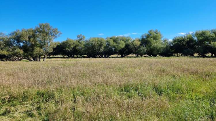 82 Burnt Hill Road Oxford_14