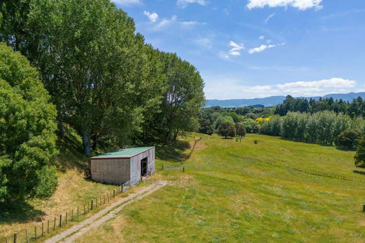 227 Tipapakuku Road Dannevirke_32