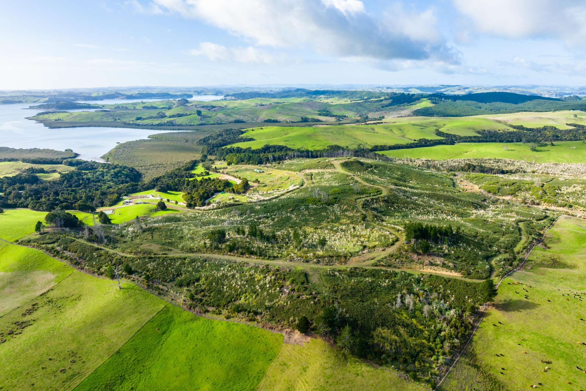 368 Arapaoa Road Tinopai Kaipara Rural Property For Sale One Roof