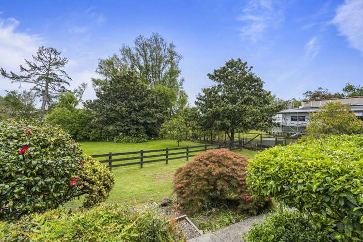 15b Pearson Street_2