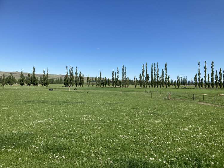 410 Ngapuna Road Middlemarch_15