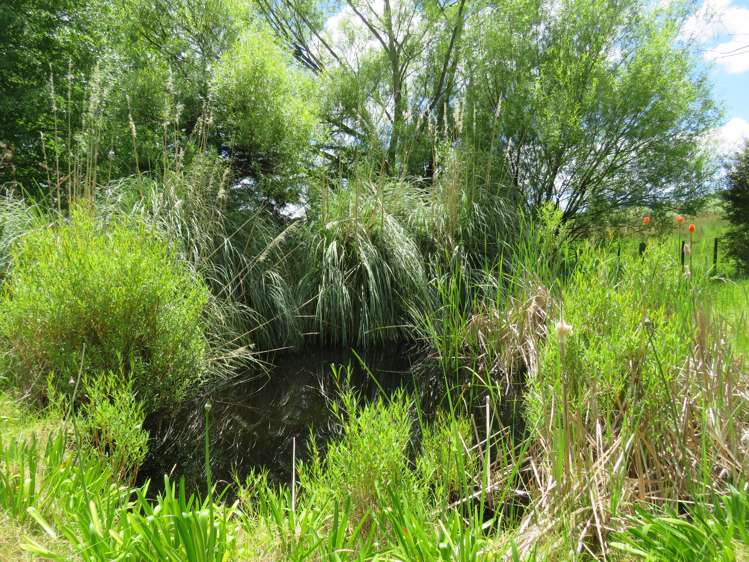 605 Whakapirau Road Whakapirau_23