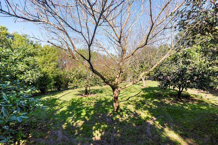 232 Maioro Road Waiuku_29