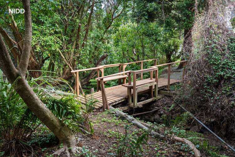 50 Ellesmere Street Ravensbourne_22