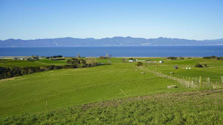 1433 East Coast Road Kaiaua_2