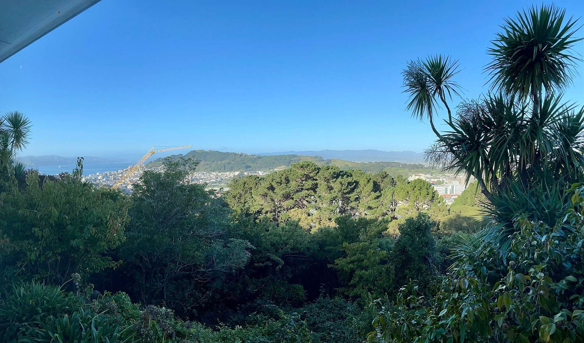 3A Asquith Terrace Brooklyn Wellington City Houses for Rent OneRoof