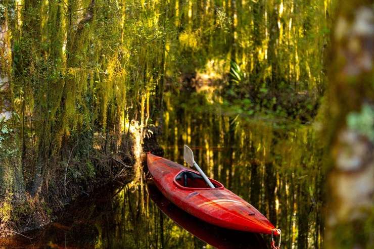 The 350ha block for sale on Lake Brunner Road, in Moana, has access to Lady Lake and Lake Kangaroo. Photo / Supplied