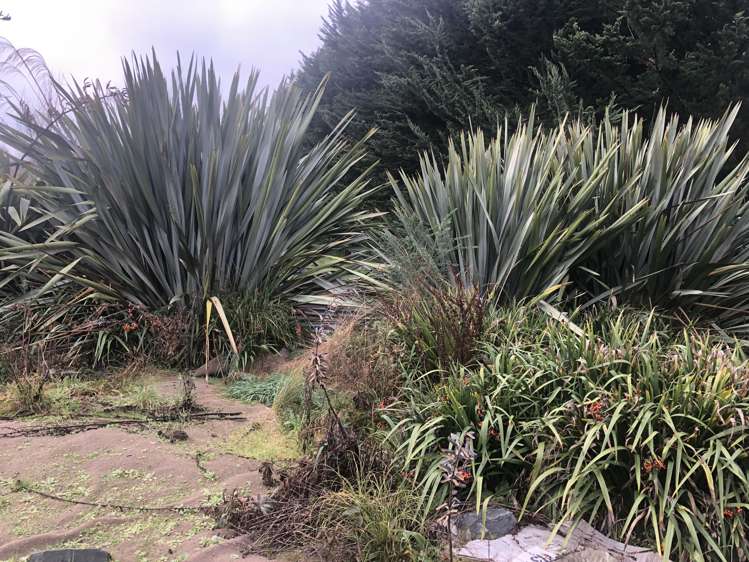 11 Meadow Street Lumsden_6