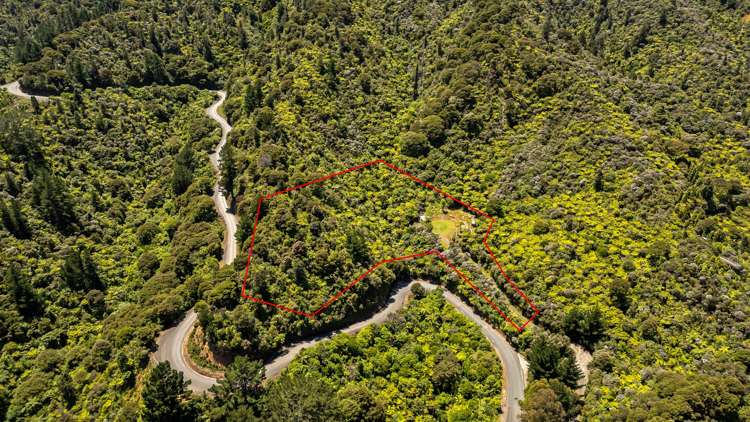 1092 Driving Creek Road_0