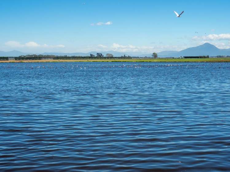 2264 Thompsons Track Lauriston_9